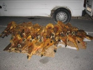 intervenidos-jamones-aptos-consumo-humano-estaban-destinados-perros-empresa-granadina_1_762203