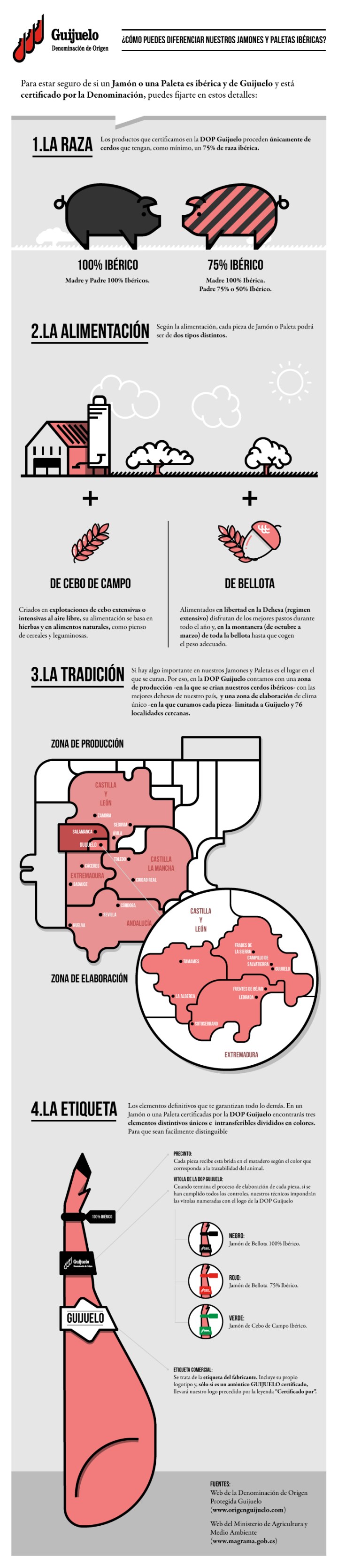 guijuelo-infografia-jamon-v14