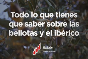 ef8bd3de49a270d49d40baf602fbfad5_S