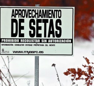 65E974BB-0F4A-9DA0-09AD6890871EB71B