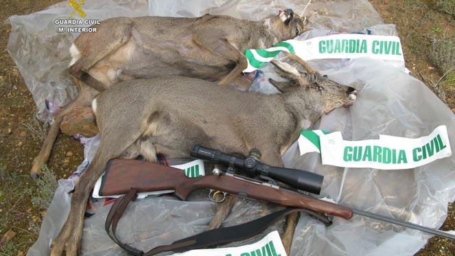 4203a126-cf53-8bb8-1b48e67edac59c77