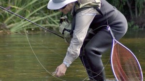 bdafdd01-c33a-7c4c-b09080476c6b1283