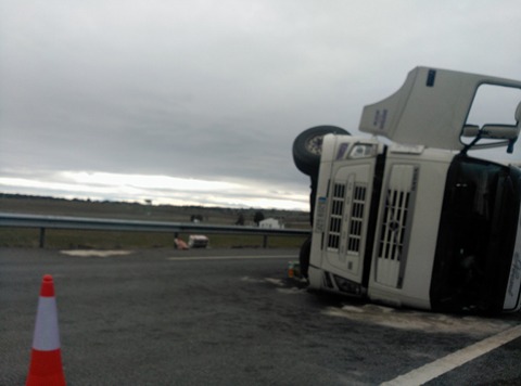 28053864_1762684770416439_1880689248_n